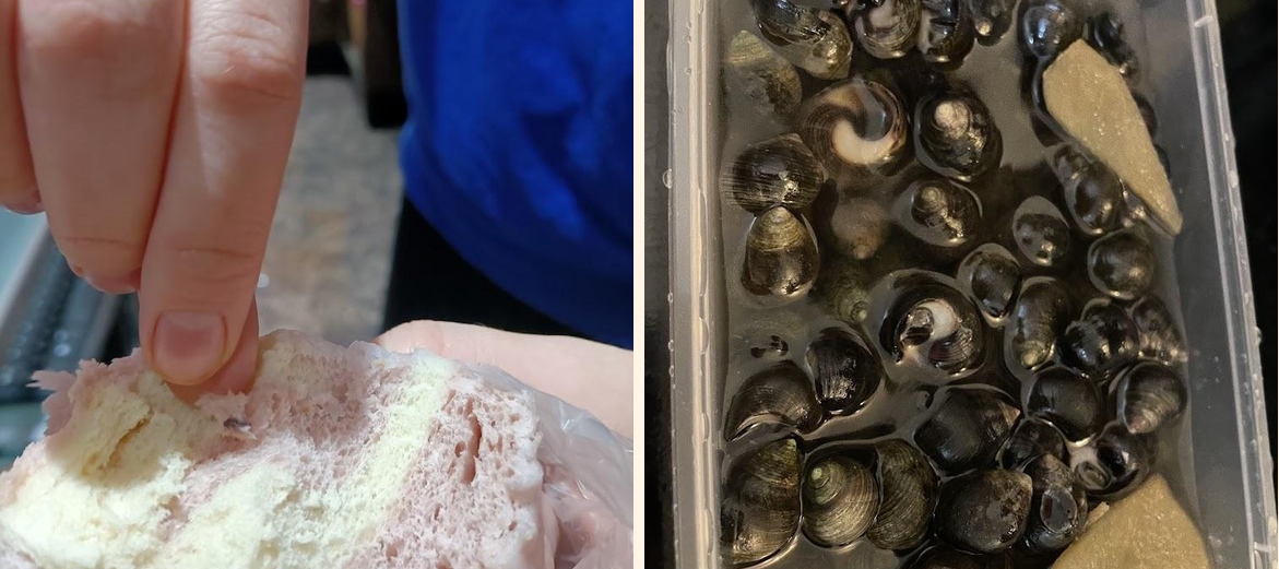 Mister Chen « Traiteur Asiatique » - Gallery Image 5